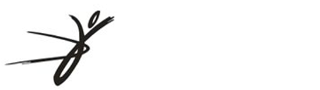  JVO Biokineticist